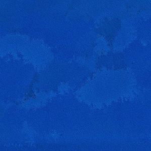 和欧美老外做爰
