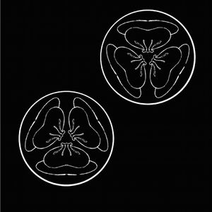 和欧美老外做爰
